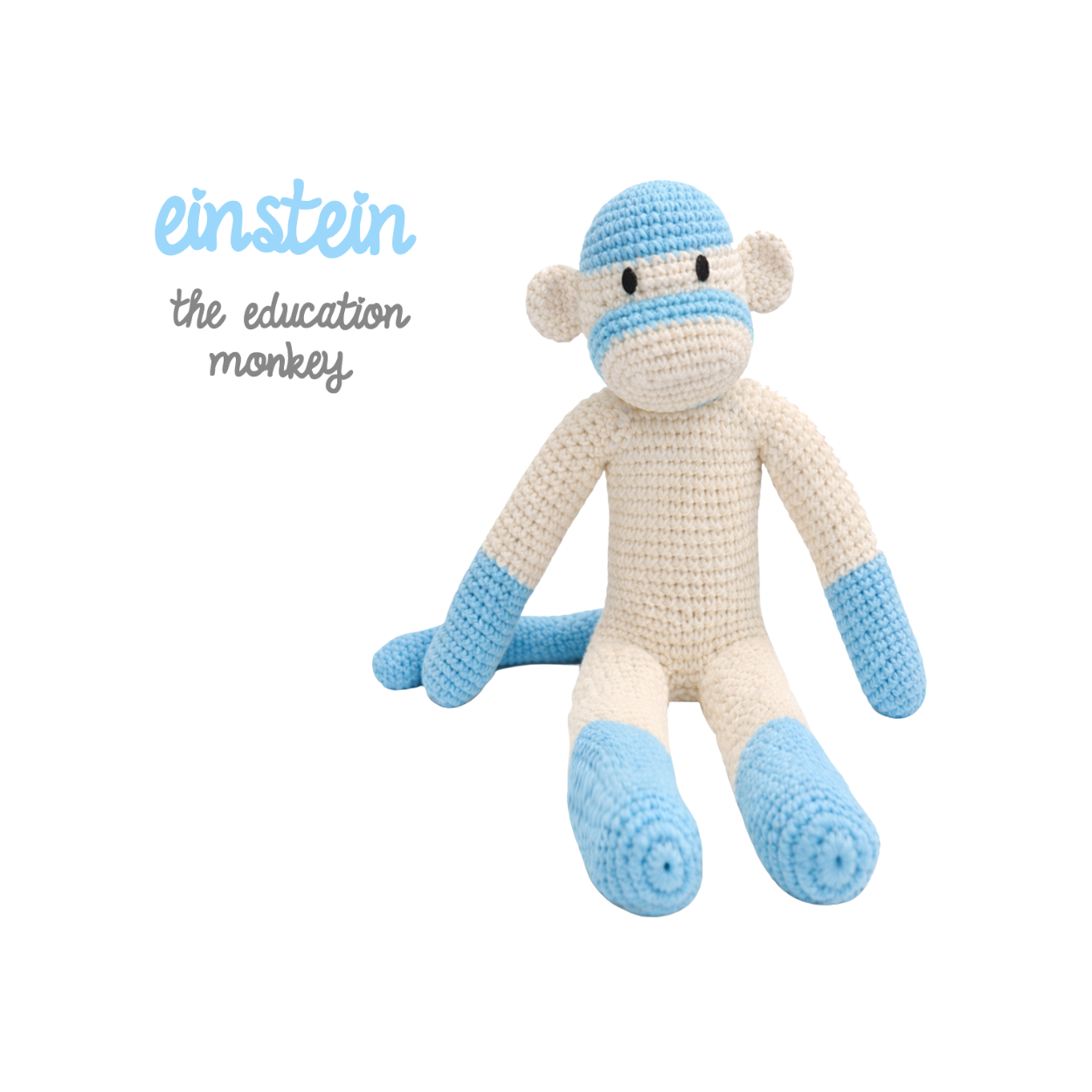 Einstein the Education Monkey Doll (13