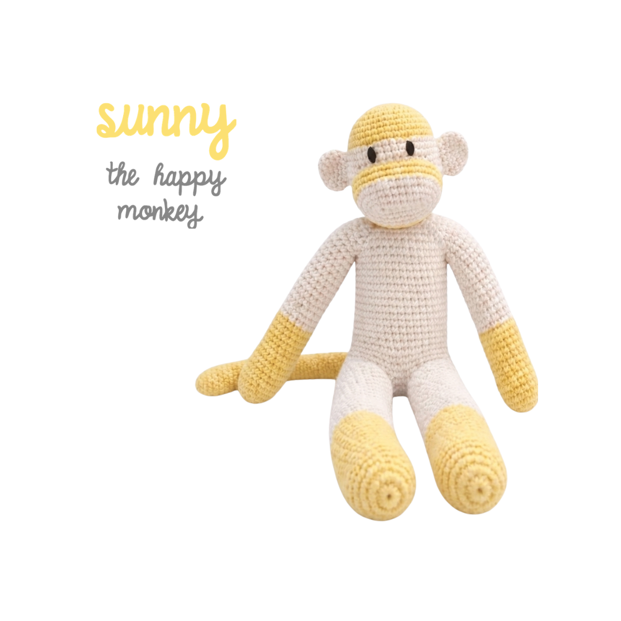 Sunny the Happy Monkey